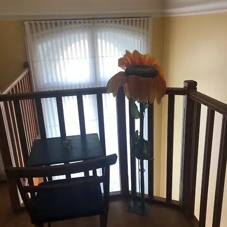 Luxury In Apartmán